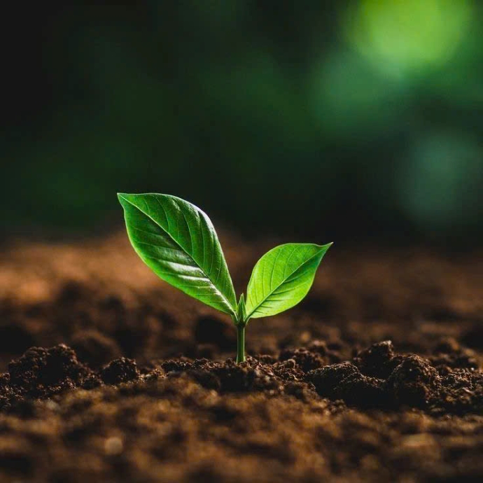 KẾT QUẢ QUAN TRẮC KHÍ THẢI QUÝ 1 NĂM 2025